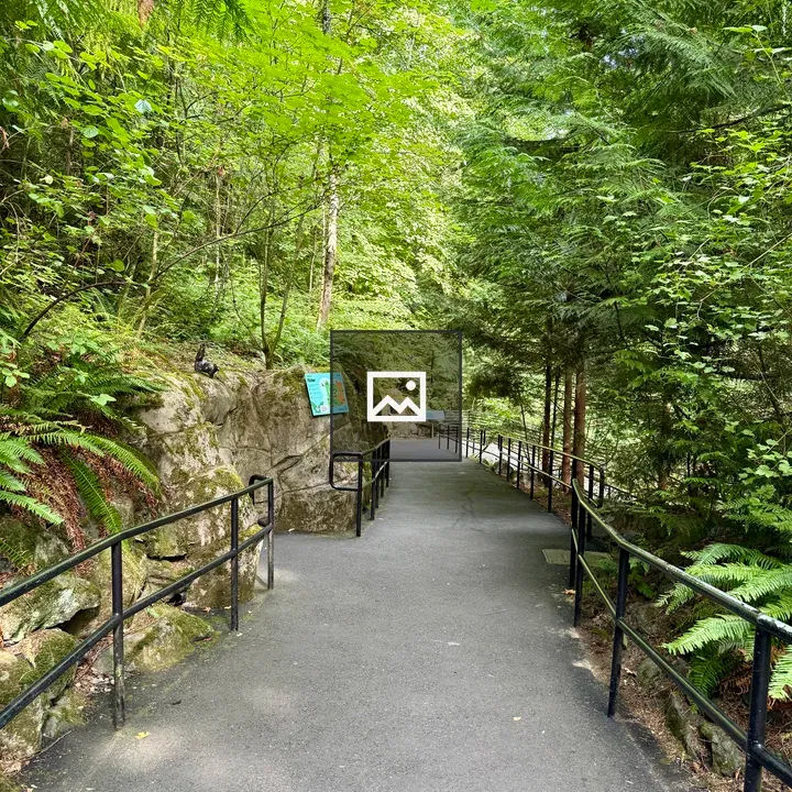 Paved path through forest