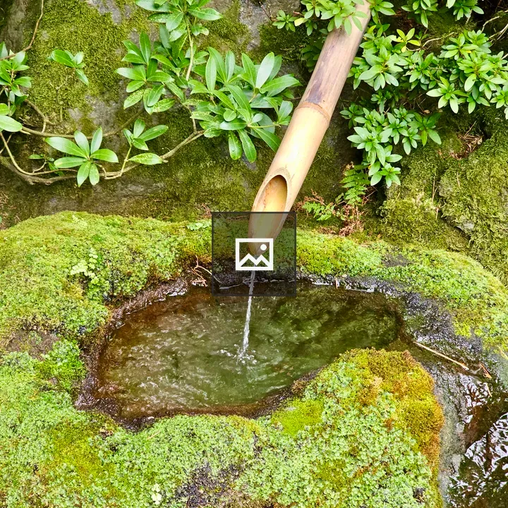 Bamboo Water Spout at Garden