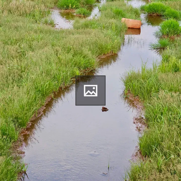 Stream Through Marshland