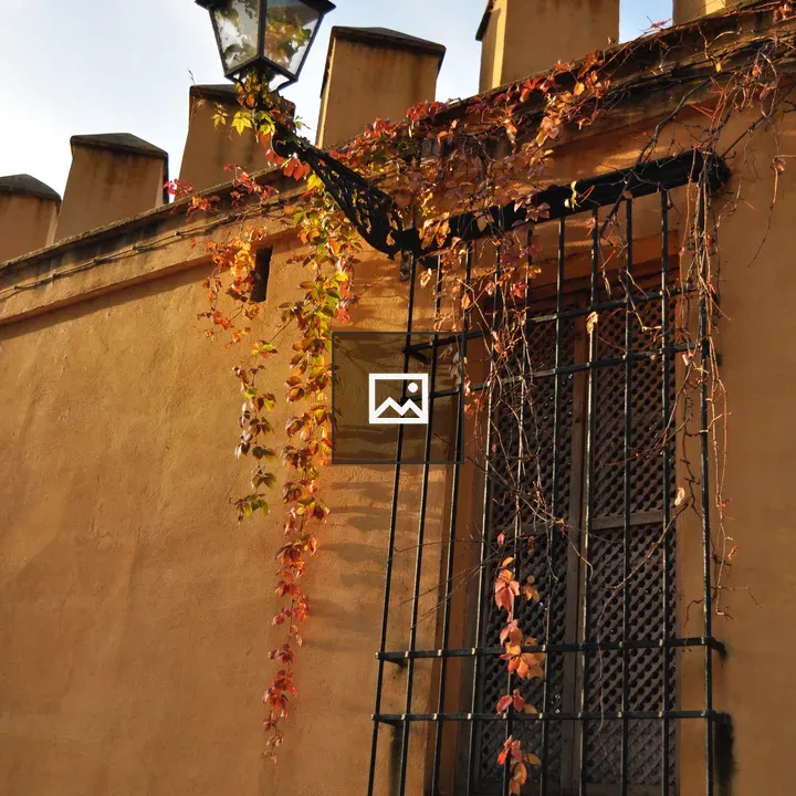 Wall, window and street lamp in Seville