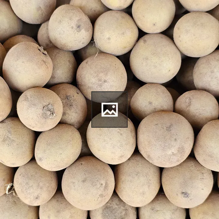Sapota fruits pile