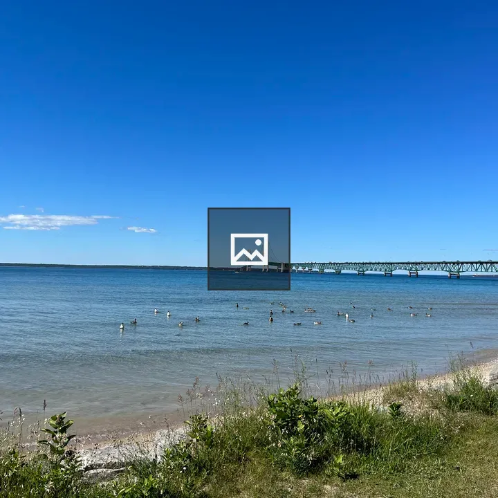 Mackinac Bridge with Geese