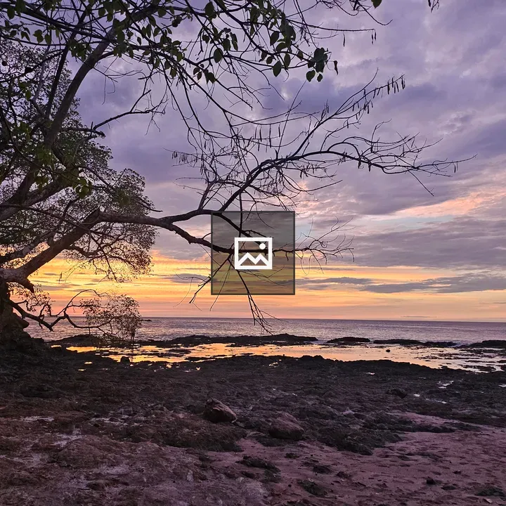 Sunset Beach with Tree Silhouette