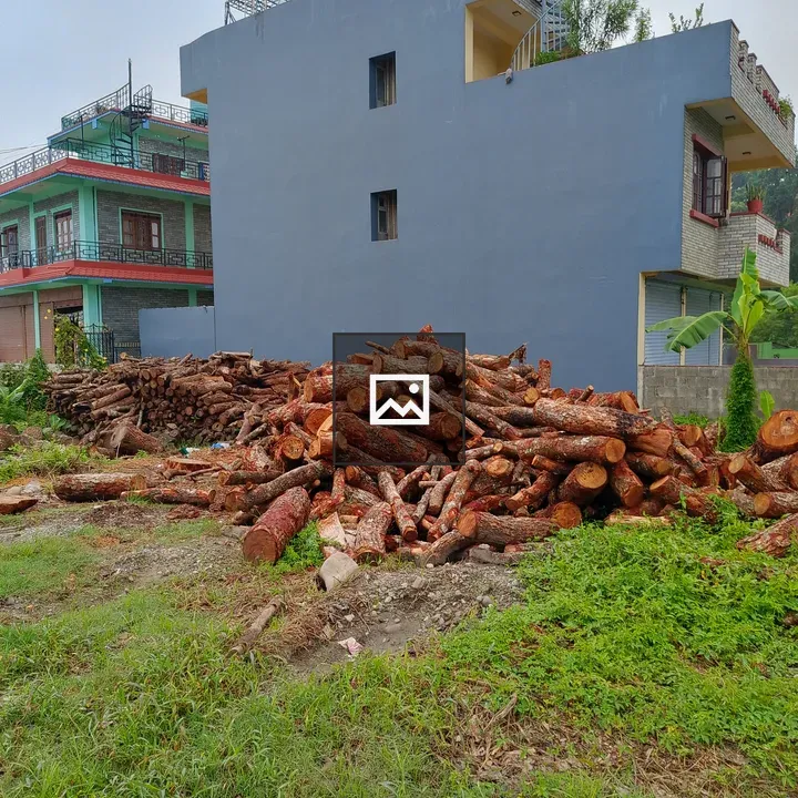 Pile of logs in grassy area