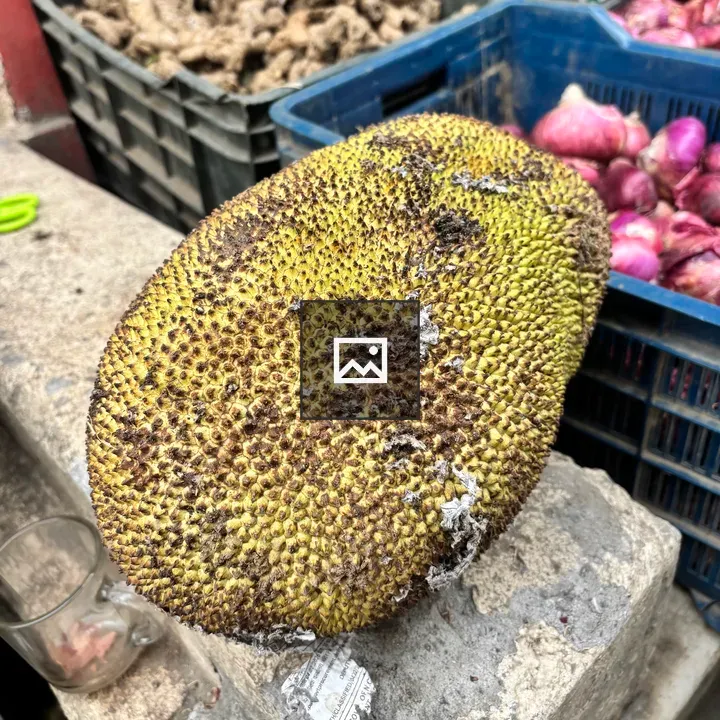 Jackfruit on Concrete Surface