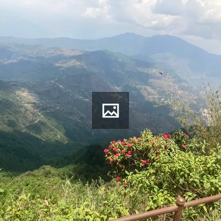 Rhododendrons in Mountain Landscape