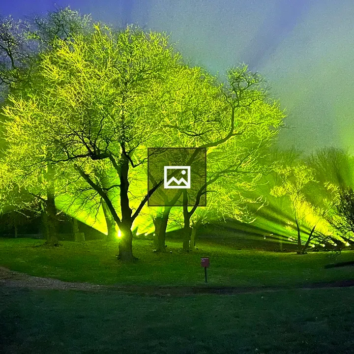 Trees lit up by neon green light
