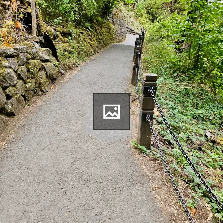 Forest Pathway with Stone Walls