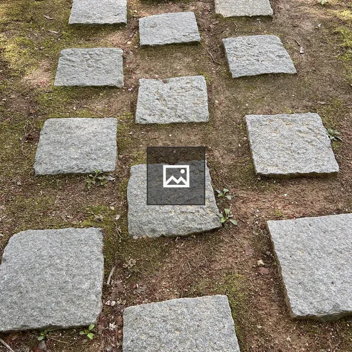 Stone Pathway Amid Moss