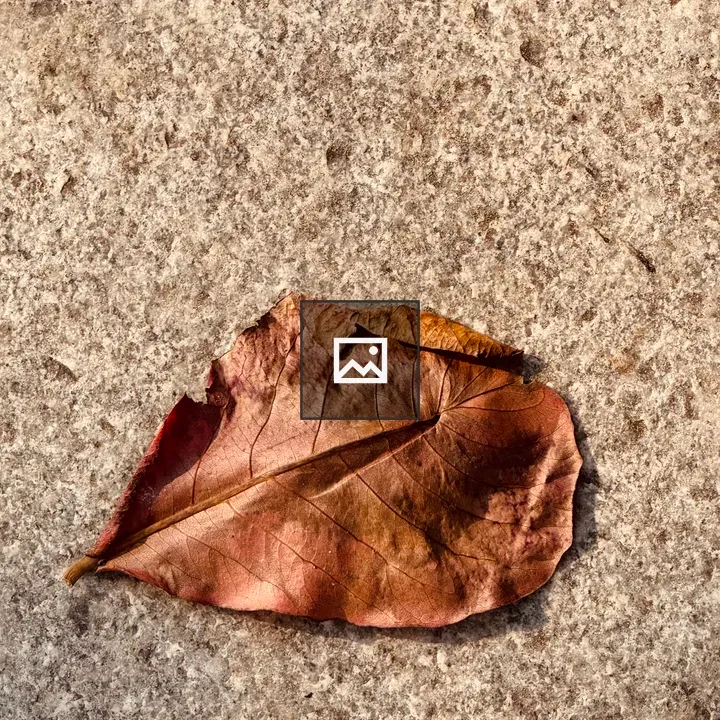 Leaf on textured surface