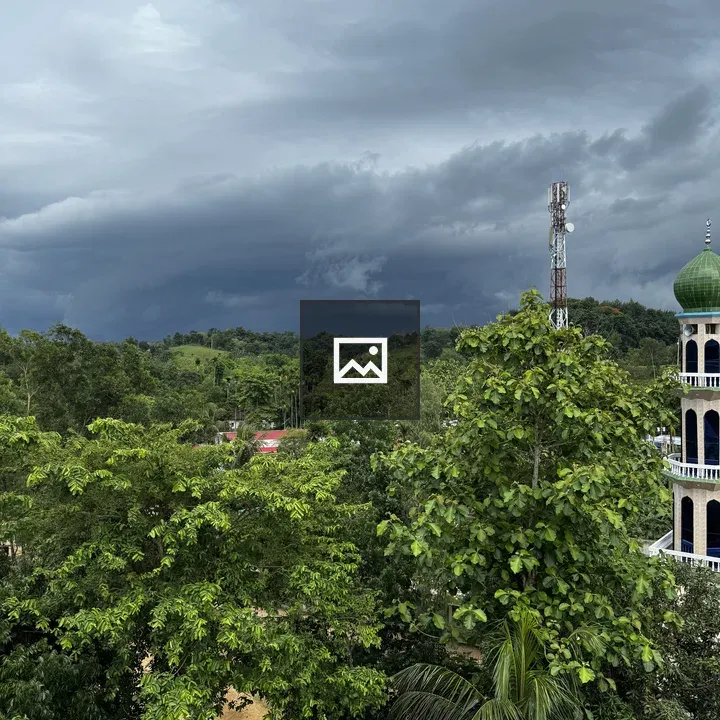 Communication tower with green-domed minaret