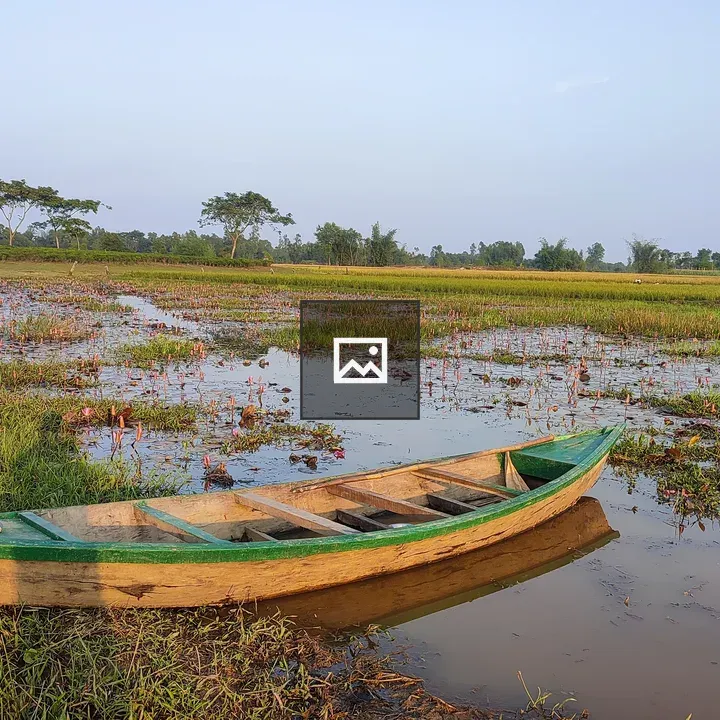 Wooden canoe by grassy marsh