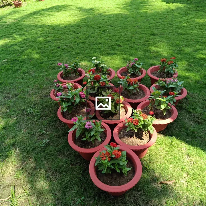 Top view terracotta pots with flowers