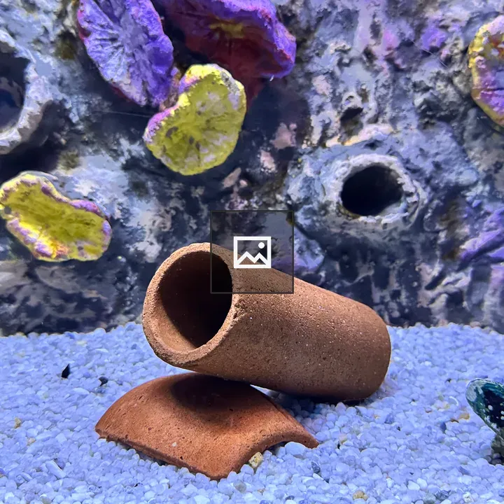 Aquarium scene with coral-like formations