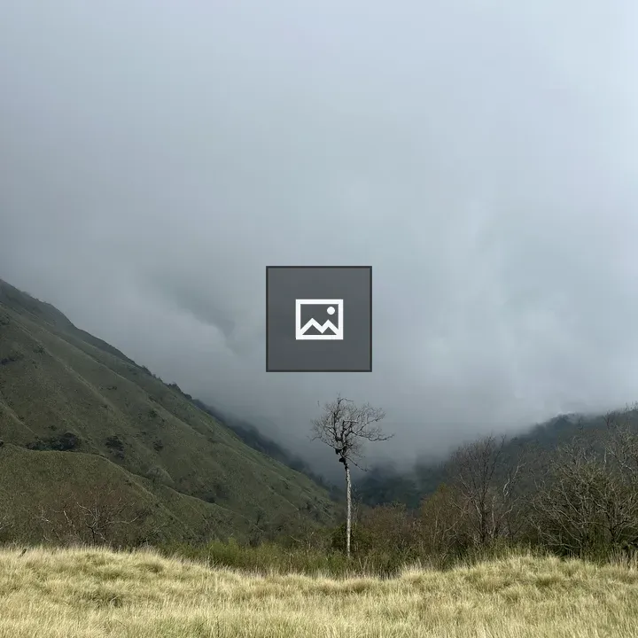Leafless tree in foggy hills