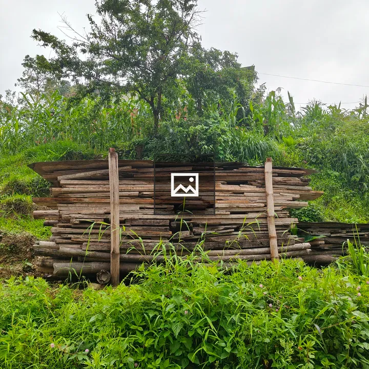 Stack of wooden logs