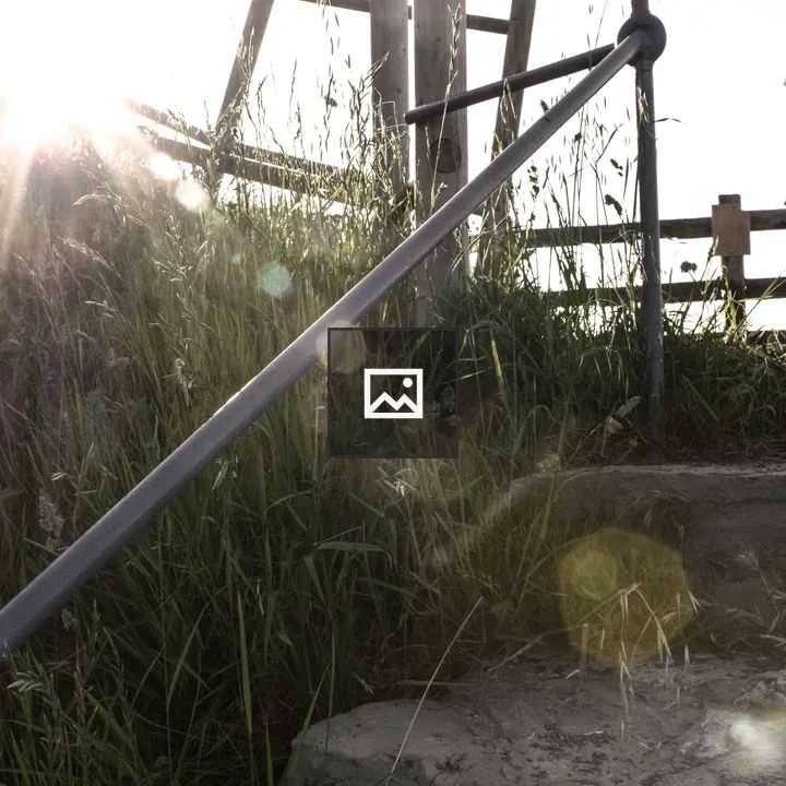 Stairs and weeds in sunlight