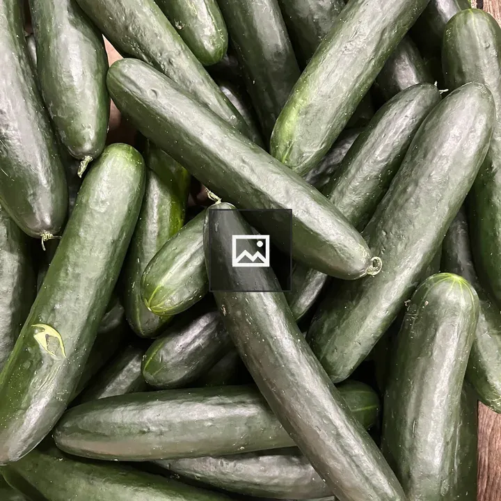 Zucchini