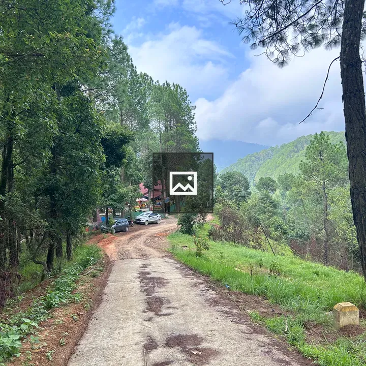 Jungle Side Resort View