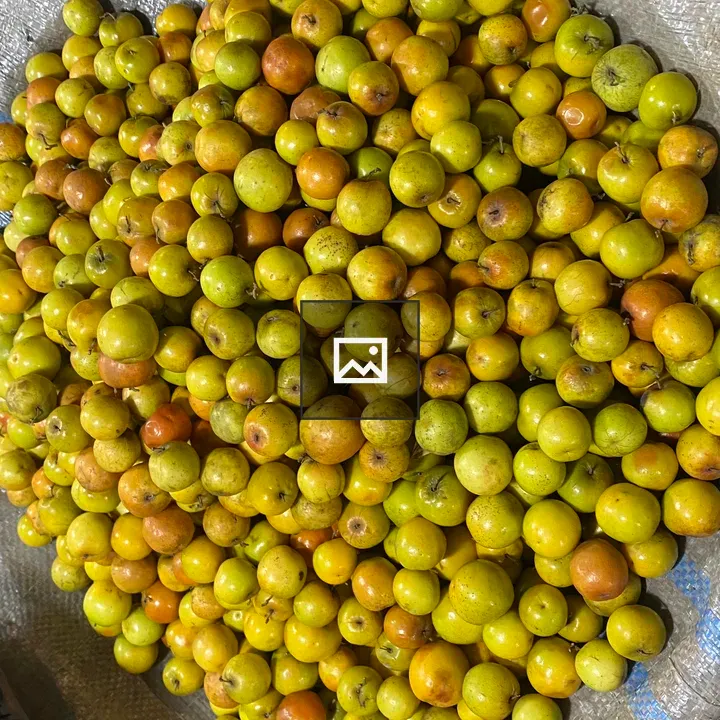 Jujube Fruits on Mat