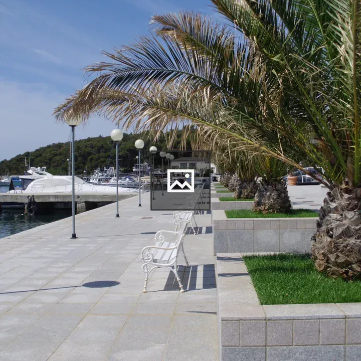 Palm trees and footpath scene