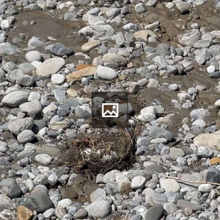 Rocky riverbed stones