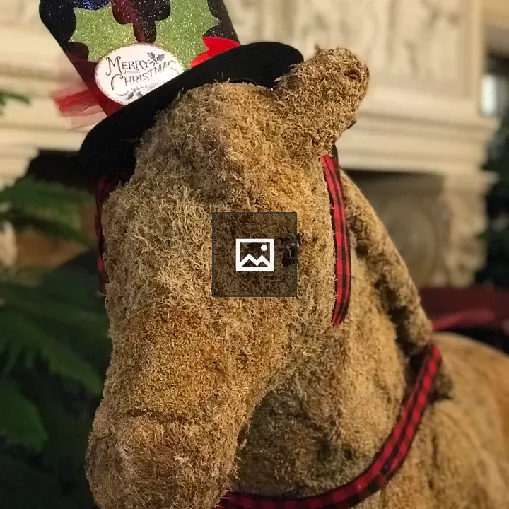 Decorative moss horse with hat
