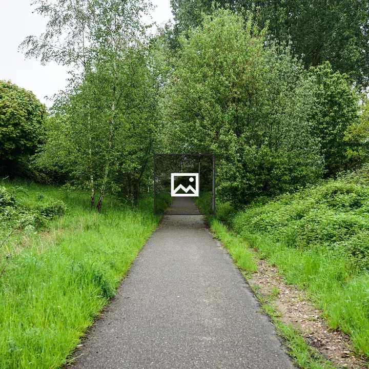 Paved Path Through Green Park