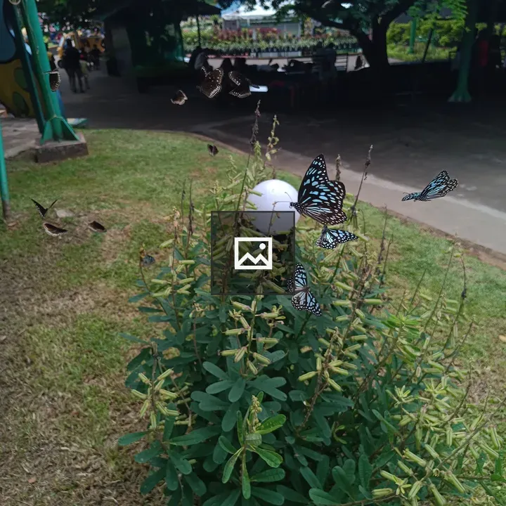 Butterflies in a Garden Plant