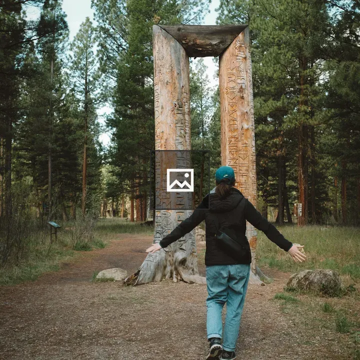 Person Walking on Forest Path