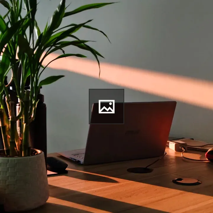 Laptop on Wooden Desk with Plant