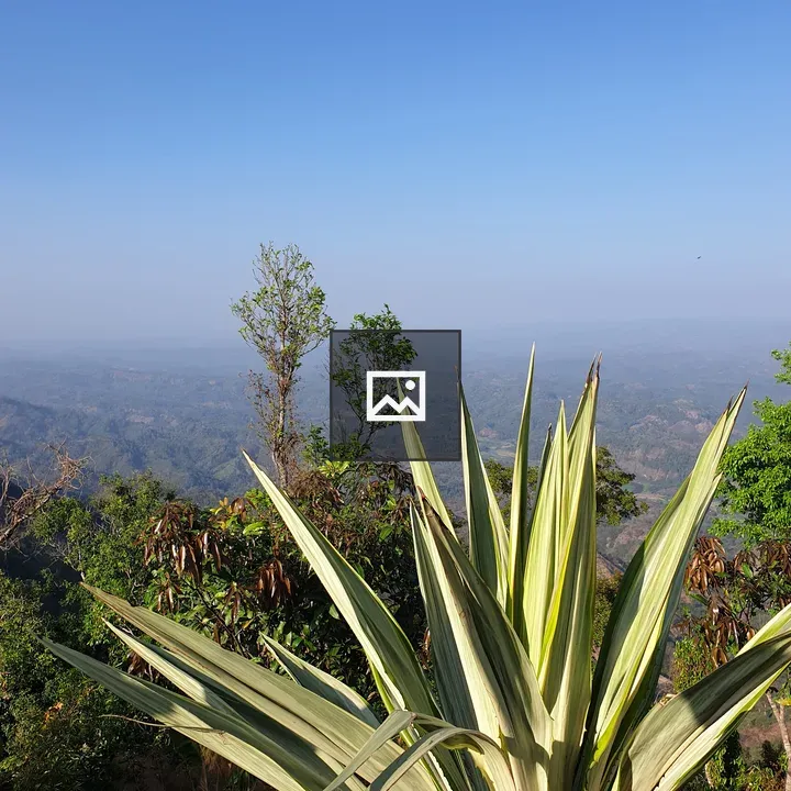 View from the mountain