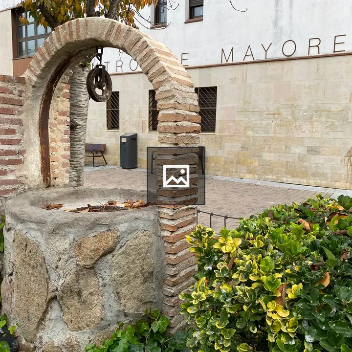 Rustic Well Under Arch