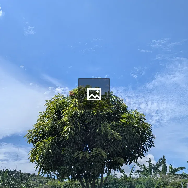 Lone tree against blue sky