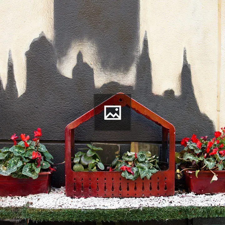 Red Flower Pots by Wall Mural