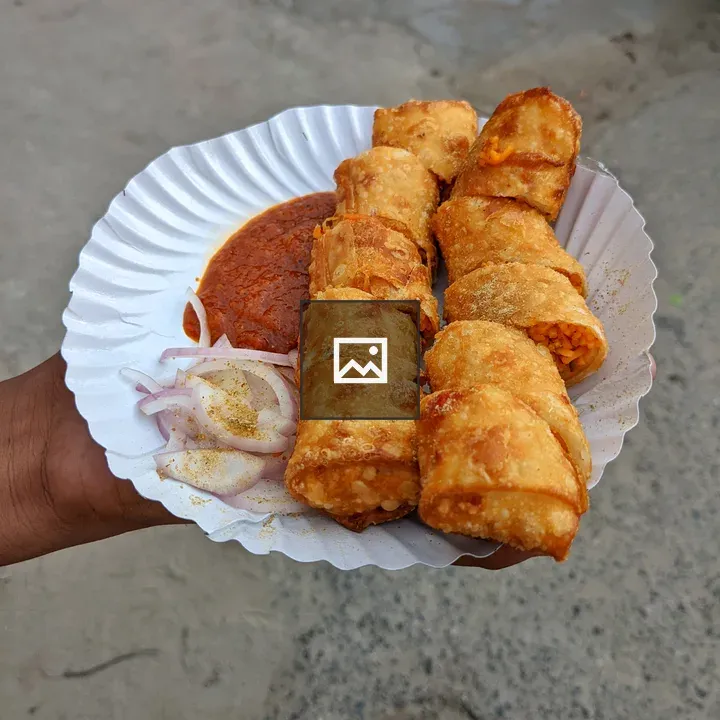 Food spring roll on plate