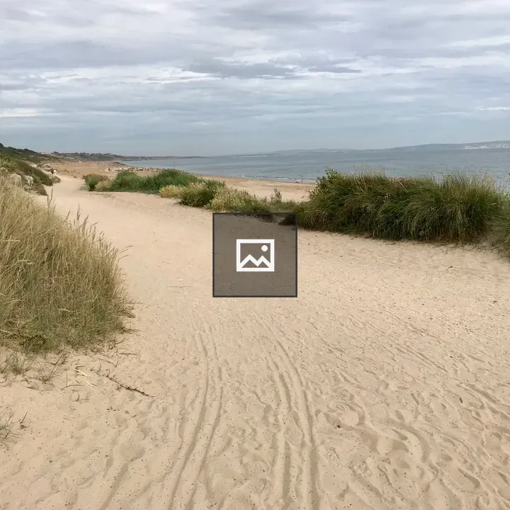 Sandy beach and grasses