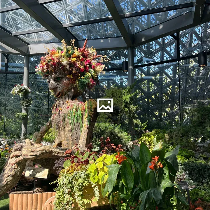 Indoor moss sculpture garden