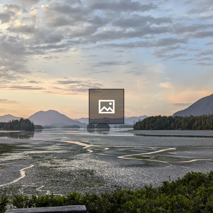 Tofino Marsh at Sunset