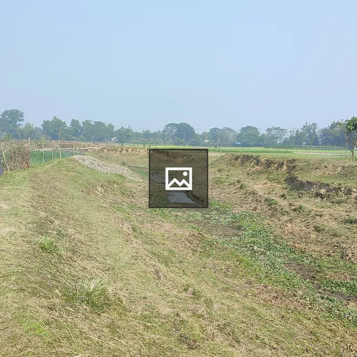 Narrow irrigation canal scene