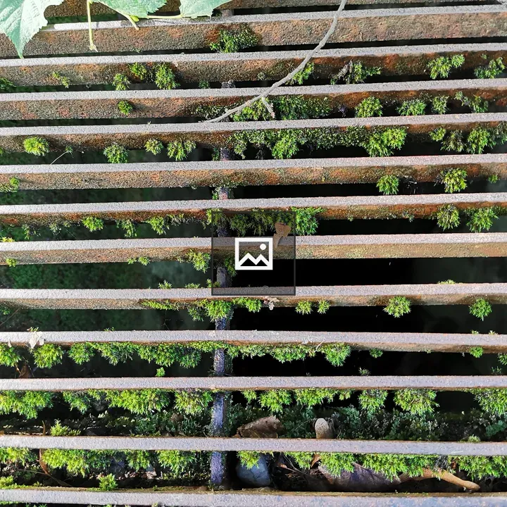 Moss on Metal Grid