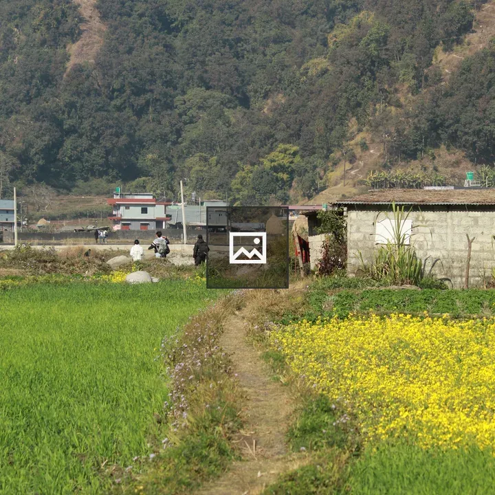 Winding dirt path through fields