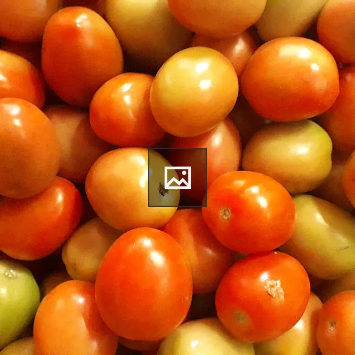 Fresh tomato fruit