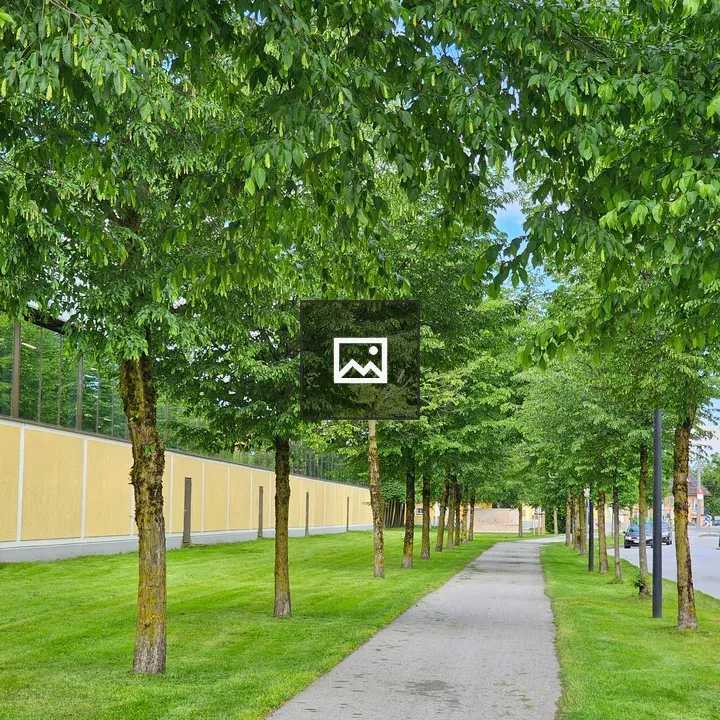 Greenish walking path