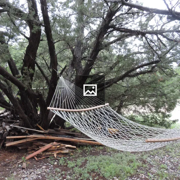 Hammock among branches and grass