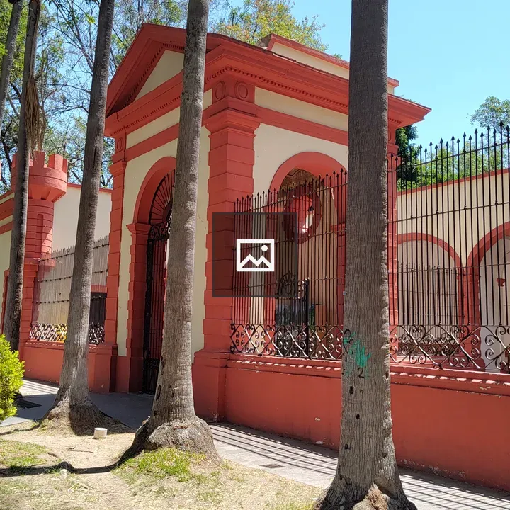 Ornate building with palm trees