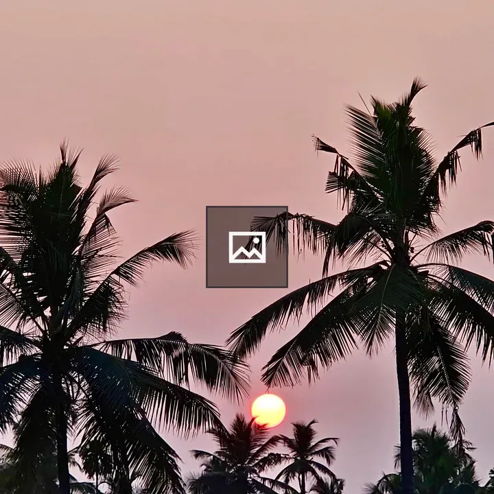 Sunset Through Coconut Leaves