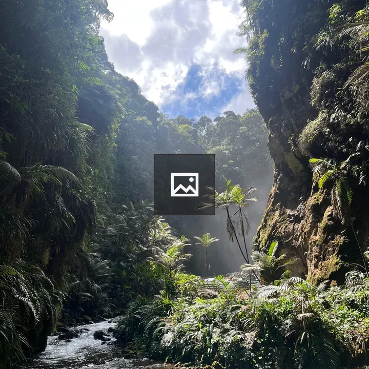 Tropical valley landscape with stream