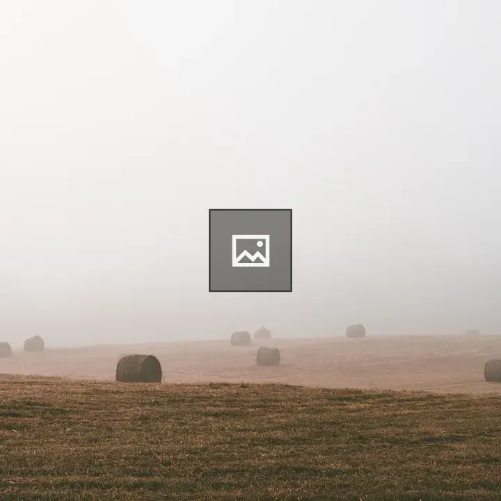 Haystacks in a Foggy Field