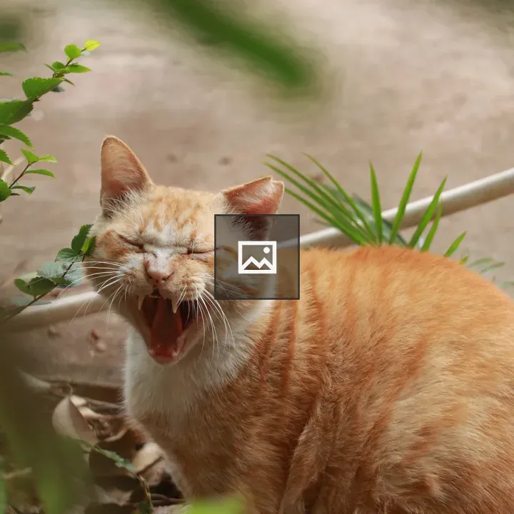 Yawning orange cat in greenery
